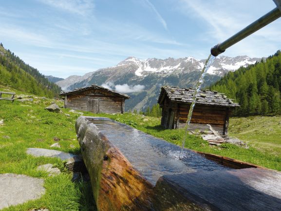 Auf der Alm